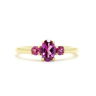 A product photo of a dainty and elegant yellow gold ring with a stunning trio of grape garnets sitting against a white background. The largest of the stones sits in the centre, an oval 6x4mm grape garnet - hugged by two smaller circular warm purple stones on either side.